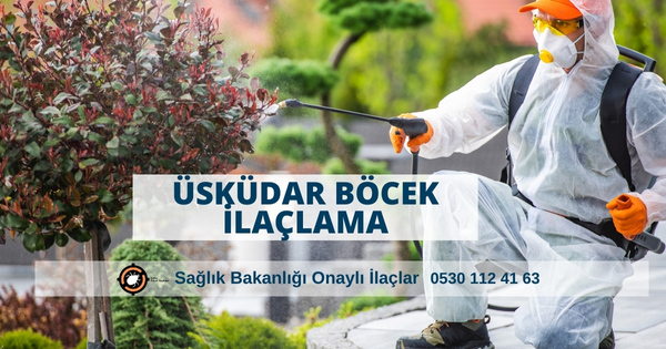 Üsküdar İlaçlama şirketi