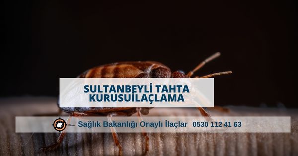Sultanbeyli tahta kurusu ilaçlama