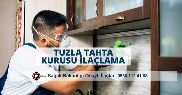 Tuzla tahta kurusu ilaçlama