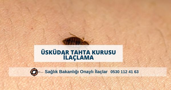 Üsküdar tahta kurusu ilaçlama